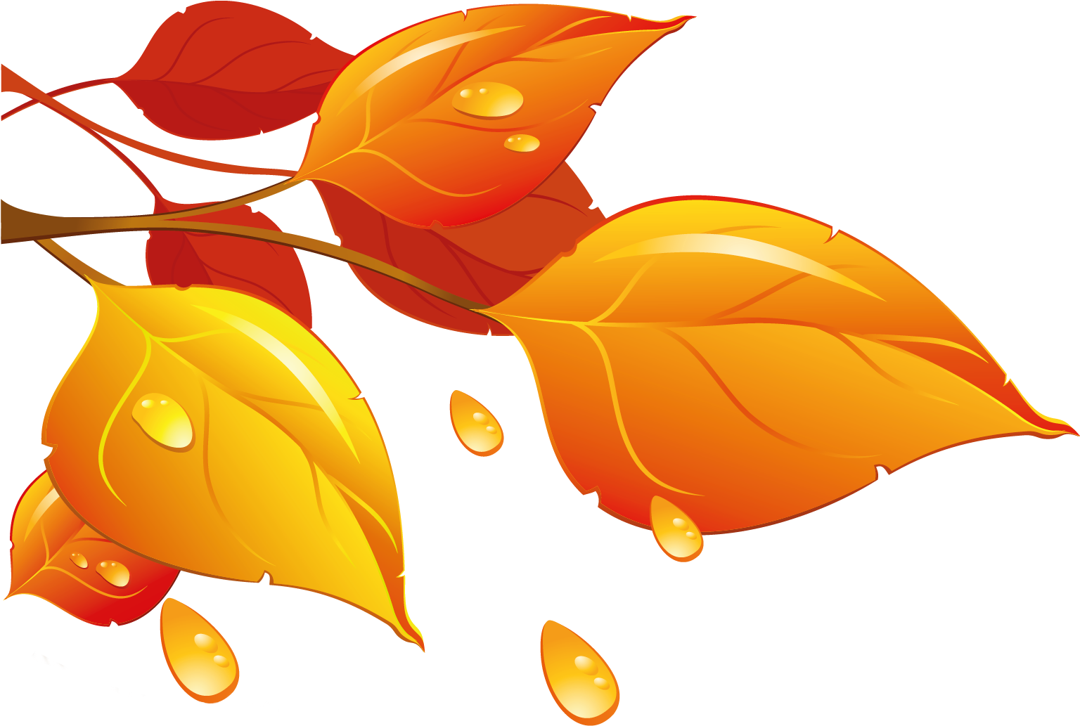 Transparent Autumn Leaves Png Clipart - سكرابز اوراق الخريف (1703x1180)