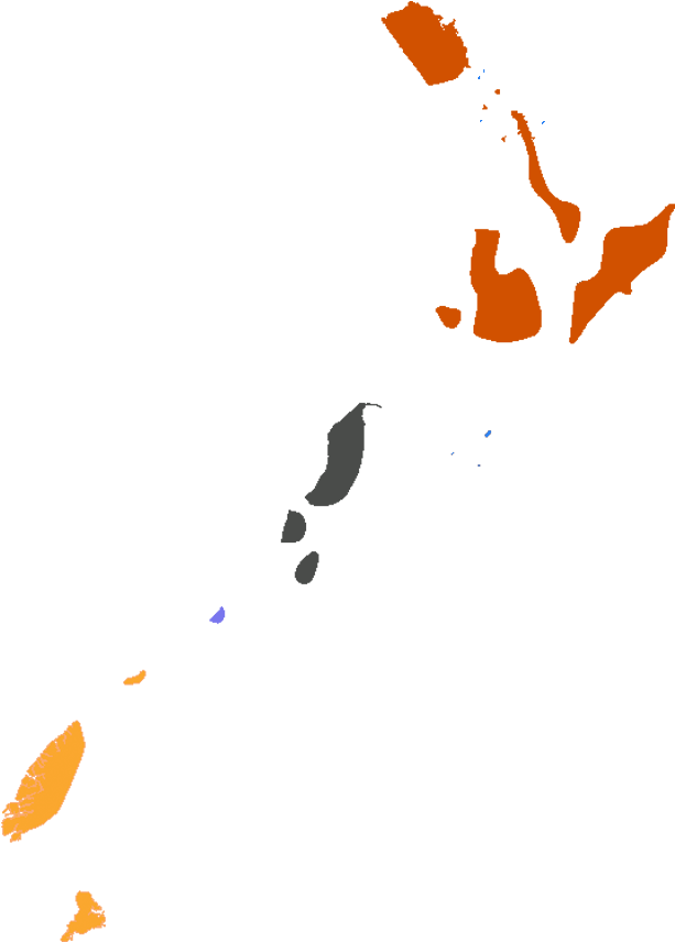 Little Spotted Kiwi - Illustration (938x913)