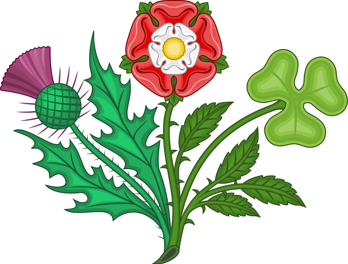 Чертополох символ Англии. Plant england