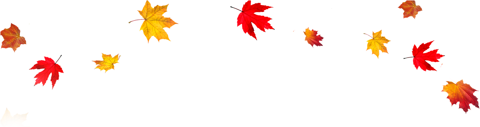 Best - Fall Leaves Transparent Background (1600x900)