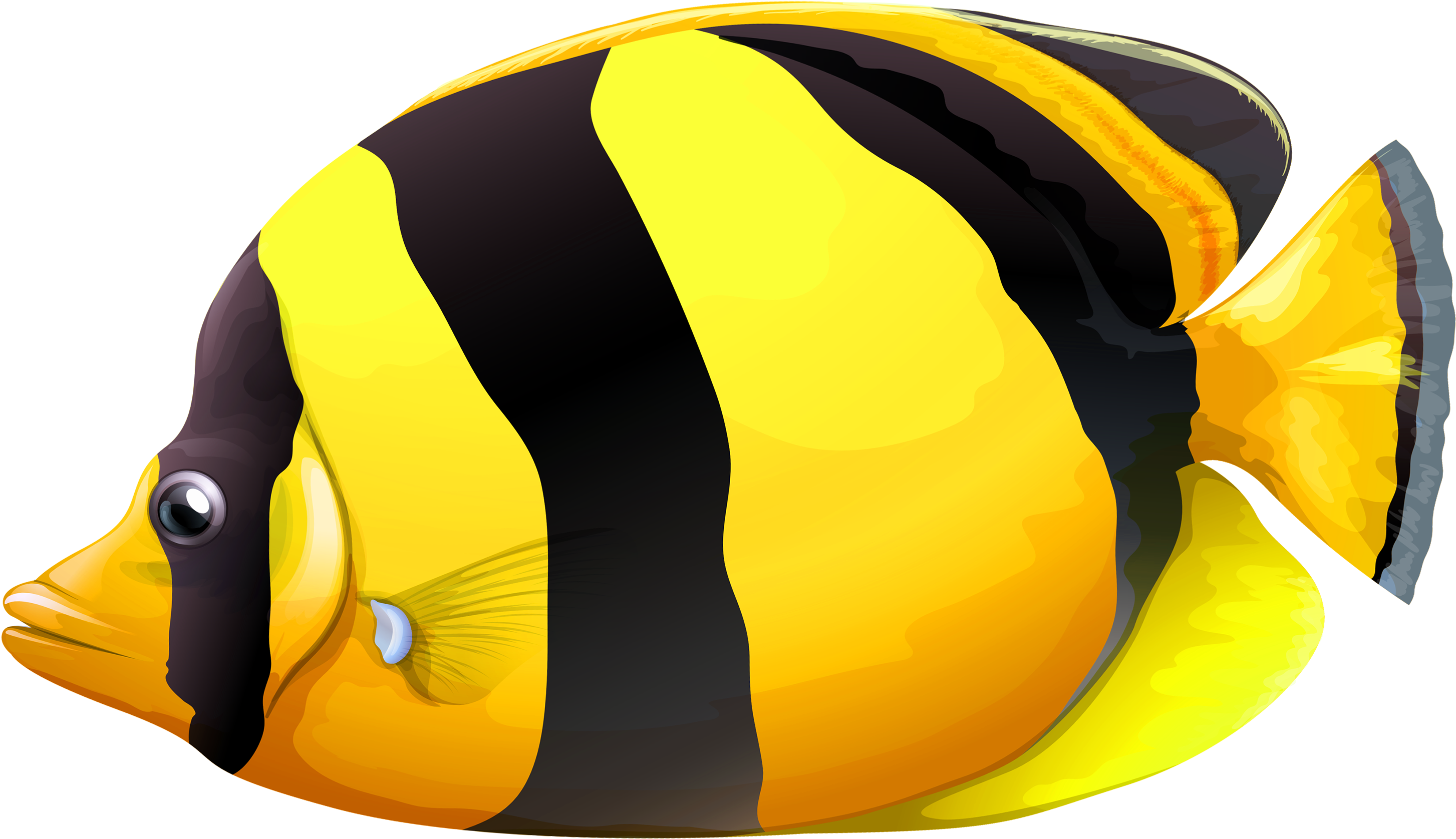 Butterfly Fish Clipart - Fish Clipart Png (3000x1925)