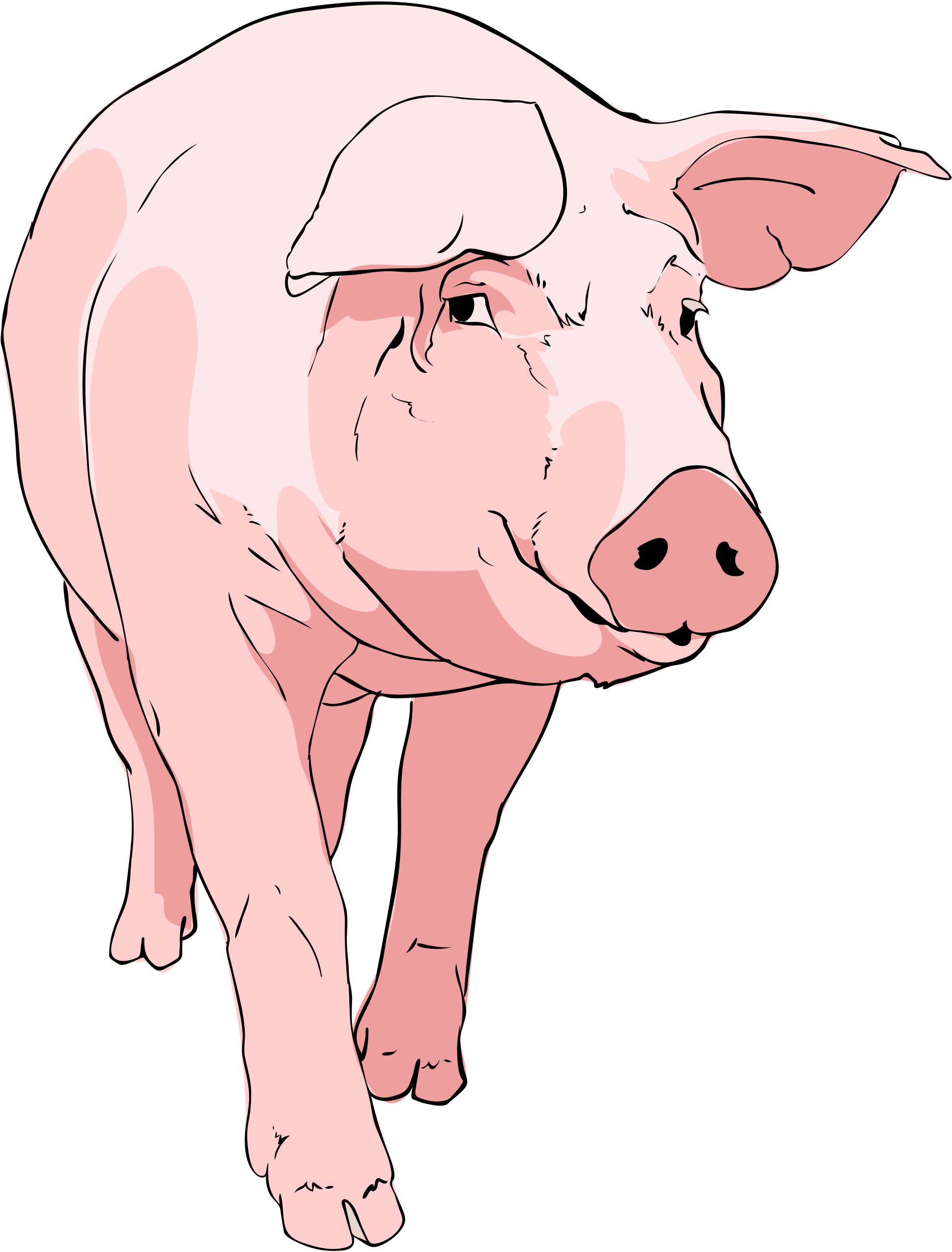 Open - Free Pig Clip Art (2000x2630)