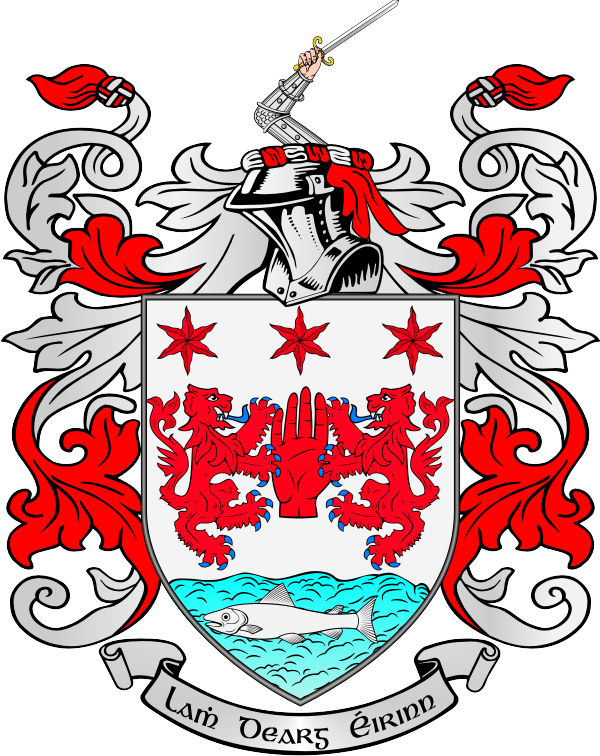 Coat Of Arms - O Neill Coat Of Arms (600x756)