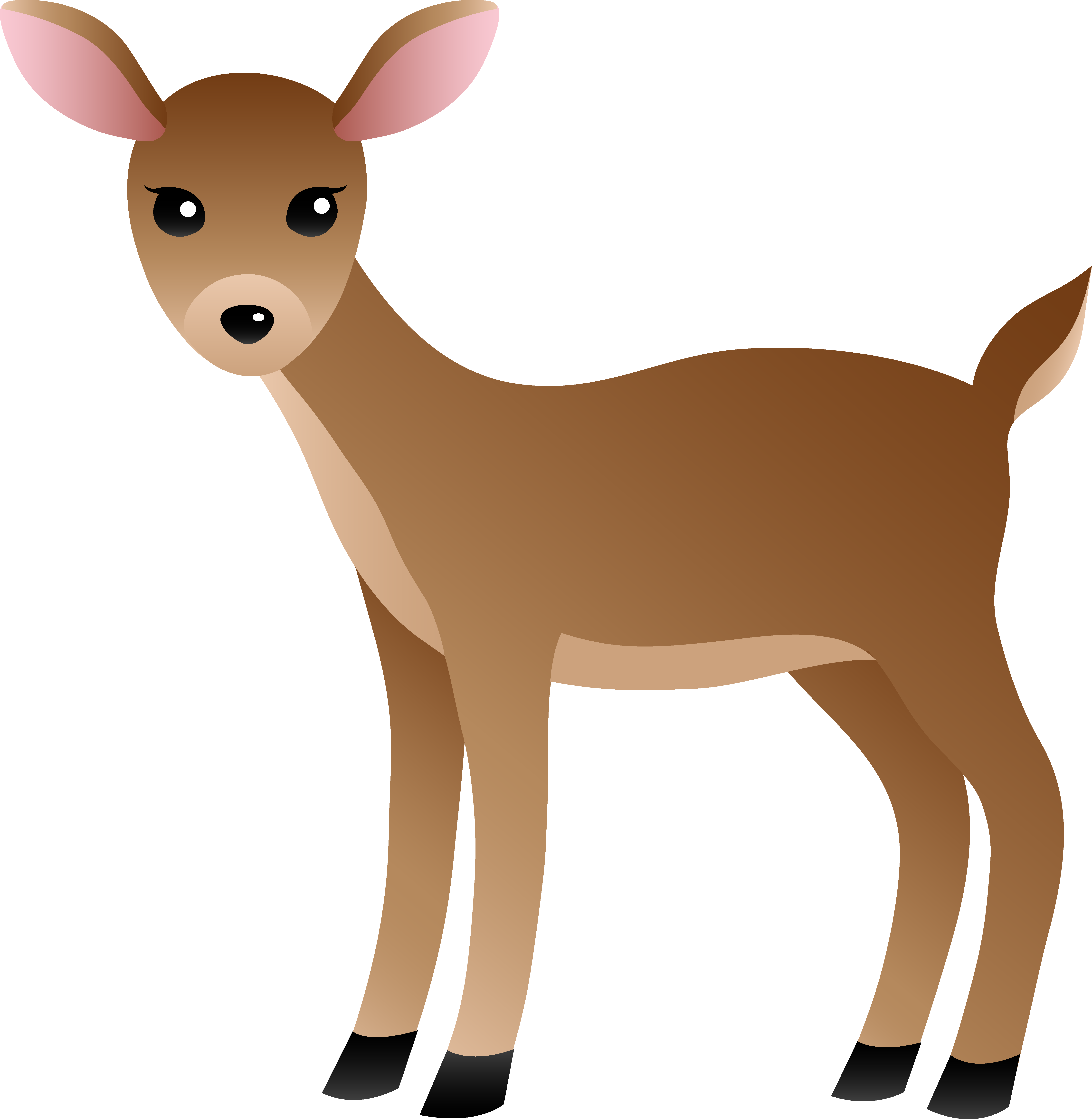 Wildlife Clipart Dear Animal - White Tailed Deer Clipart (6667x6830)