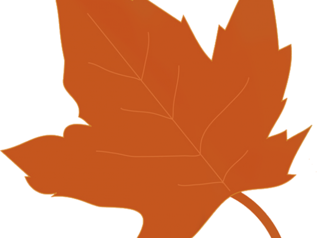 Autumn Leaves Clipart - Autumn (640x480)