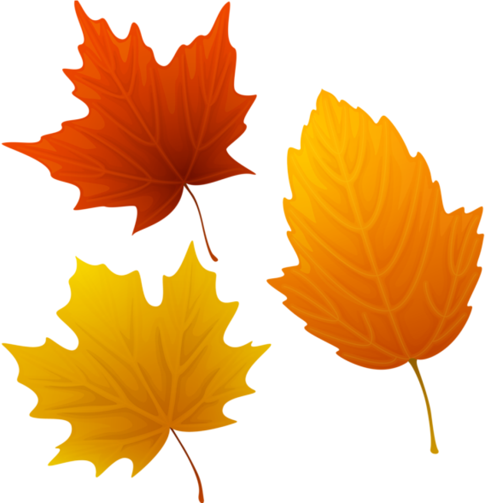 Autumn Leaves Clipart Set Of Autumn Leaves Clipart - Autumn Leaves Clipart (1024x1024)