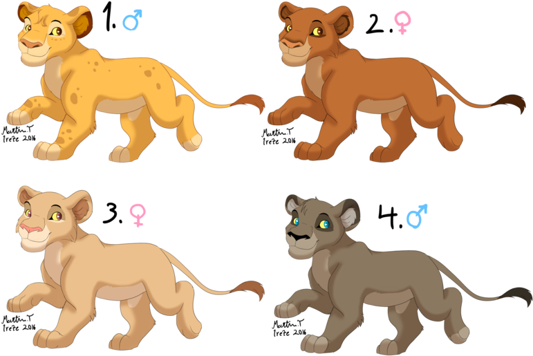 Lion Cub Adoptables Batch 1 Closed By Irete - Lion Cub Digital Art (800x541)