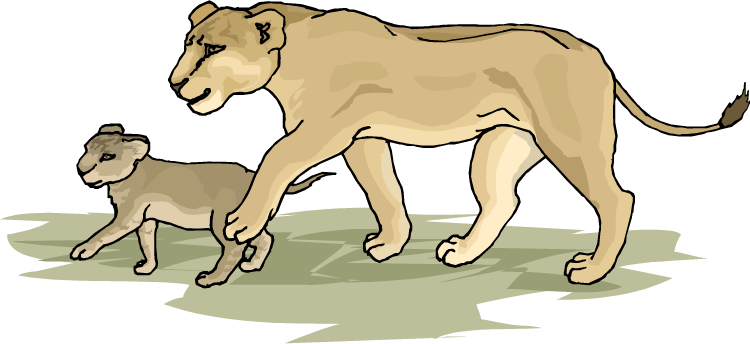 Cub Clipart Lion Cub - Lion And Cub Clip Art (750x344)