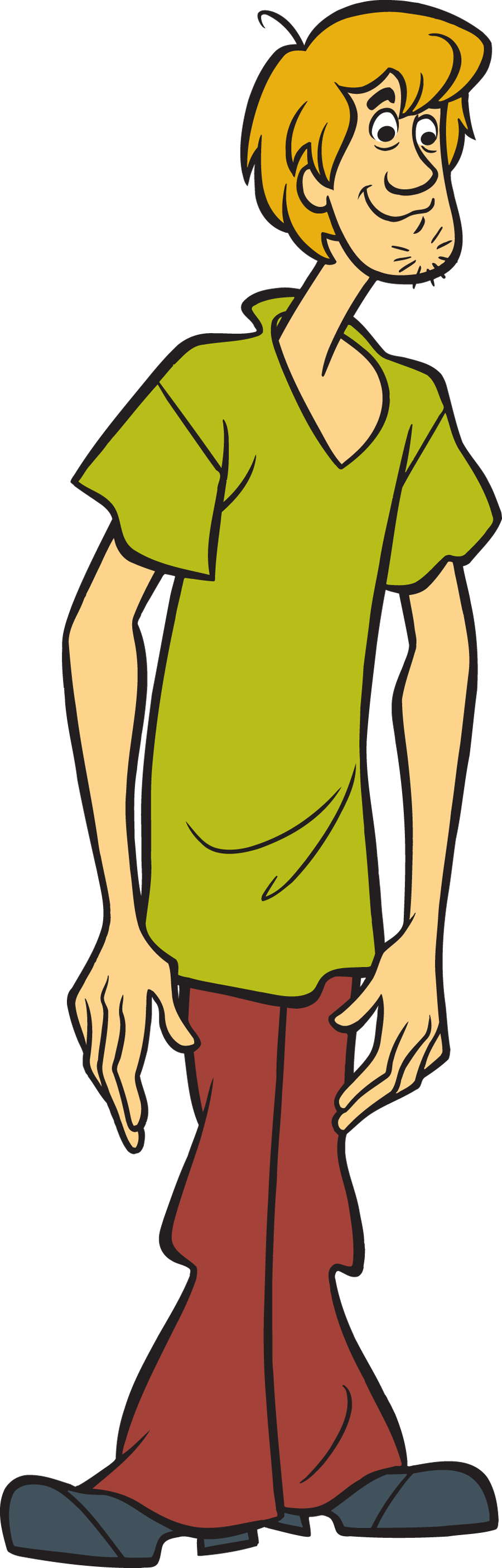 Shaggy Rogers - Man From Scooby Doo (900x2810)
