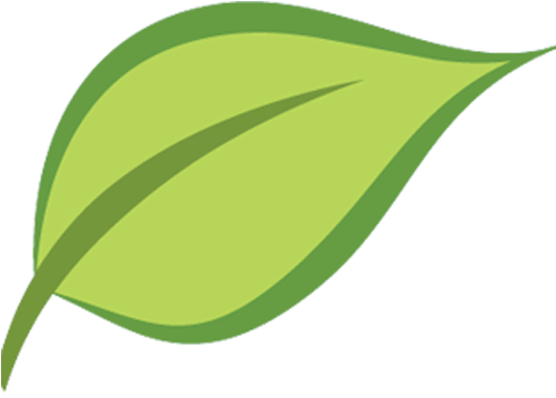 Cropped New Leaf Recovery Favicon 512×512 - Leaf Favicon (512x512)