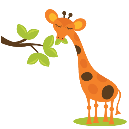 Giraffe Eating Leaves Clipart - سكرابز حيوانات كرتونية (432x432)
