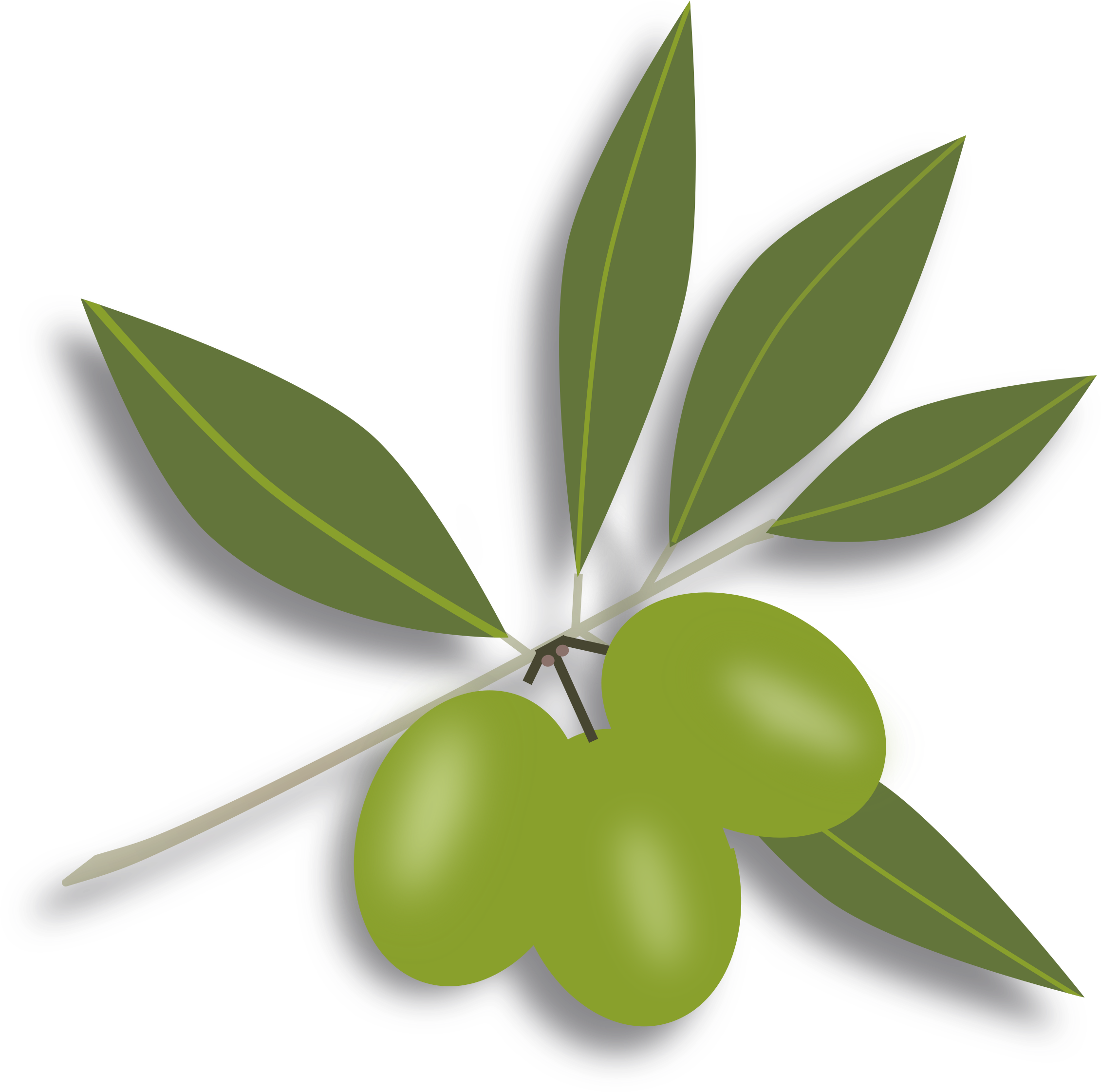 This Free Icons Png Design Of Green Olives - This Free Icons Png Design Of Green Olives (2400x2439)