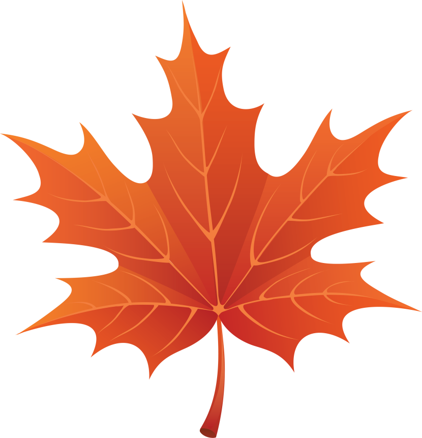 Single Leaf Clipart Kid - Autumn Leaf Clip Art (830x861)