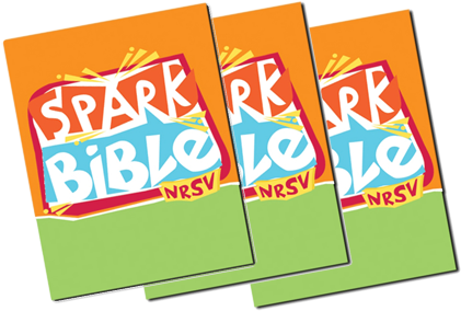 Bibles For Sunday School Students - Spark Bible: New Revised Standard Version (450x300)