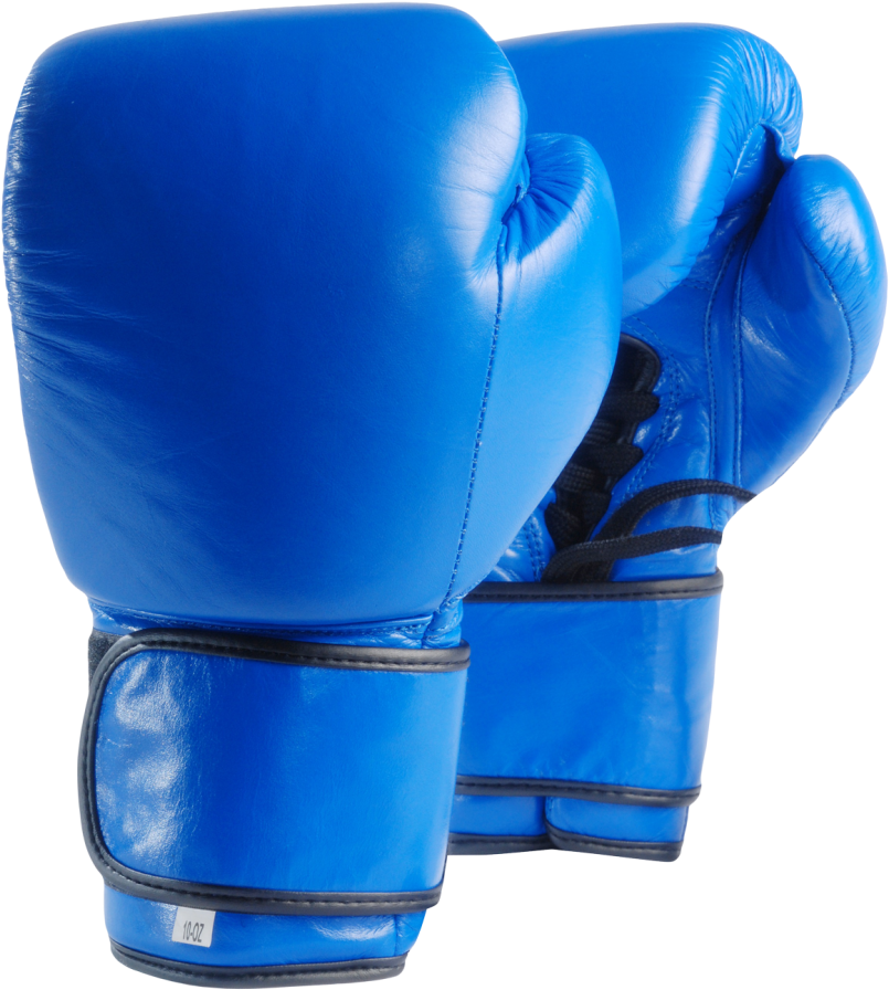 Gloves Free Png Transparent Background Images Free - Blue Boxing Gloves Png (1024x973)