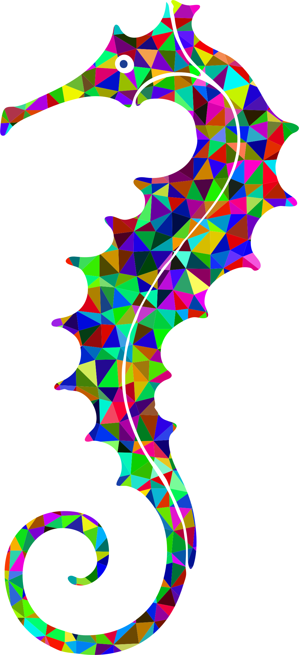 Big Image - Seahorse (1024x2242)