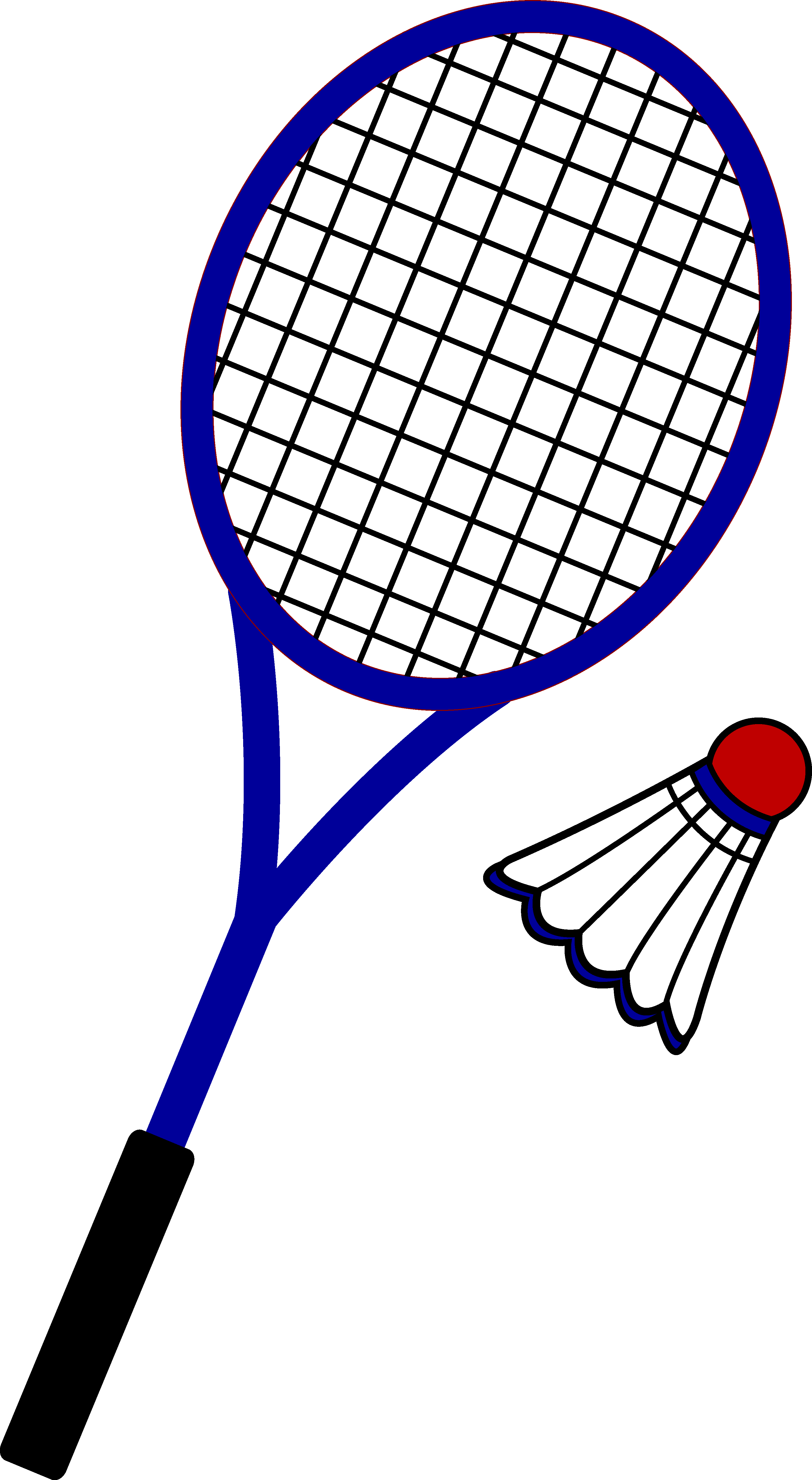 Colouful Clipart Seahorse - Tennis Racket Clip Art (3069x5594)