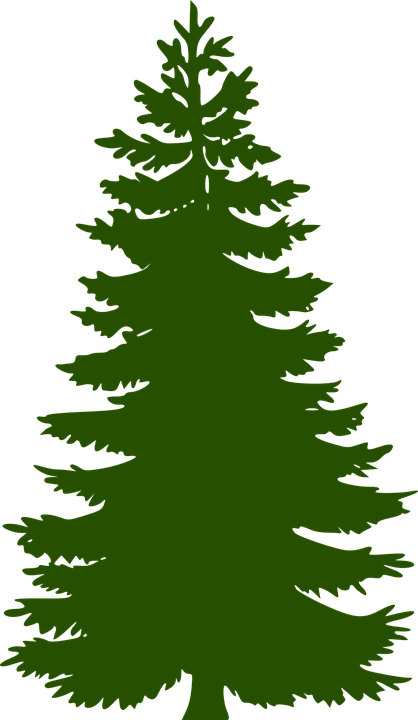 Fir Tree Png - Green Pine Tree Silhouette (418x720)