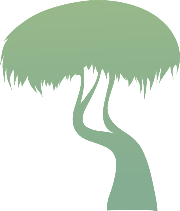 Pictures Of Cartoon Trees 23, Buy Clip Art - Tree (612x720)