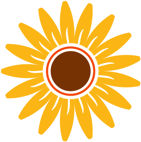Flat Sunflower Head Illustration Transparent Png - Flower Designs (512x512)