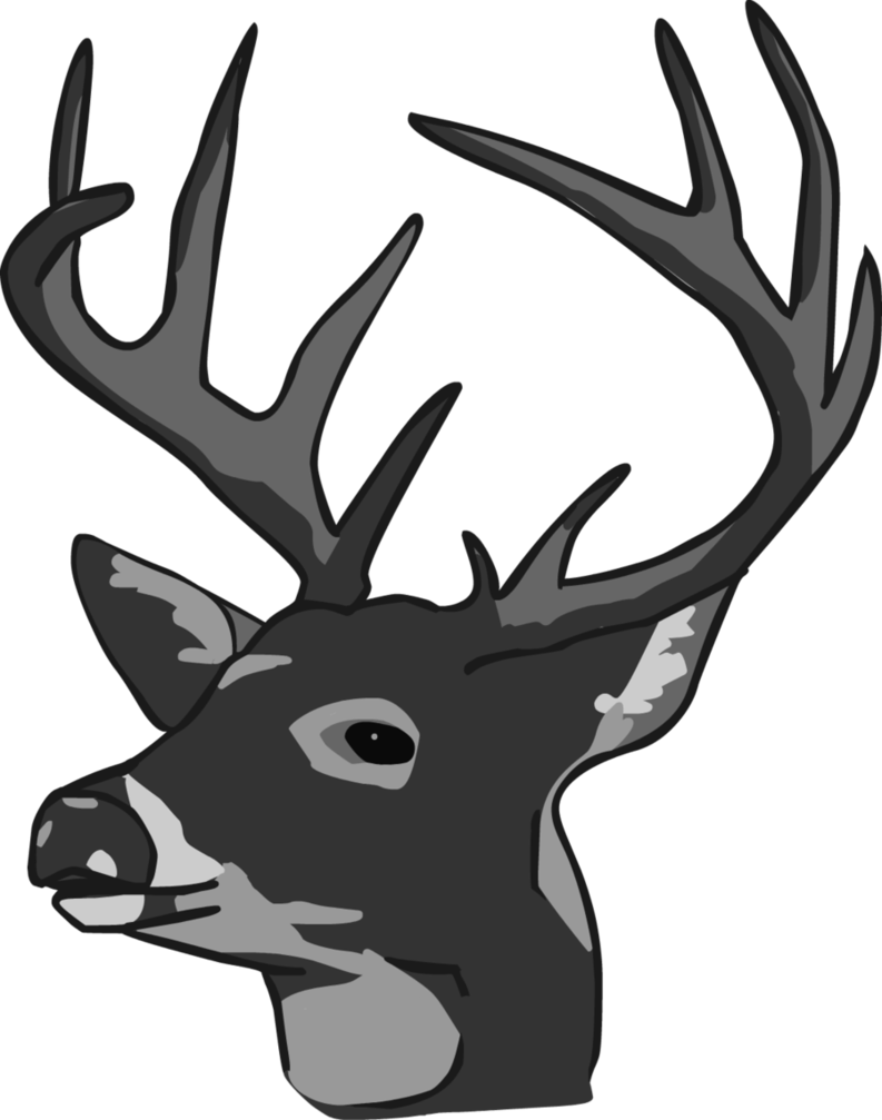 Deer Head Clipart Black And White - Deer Head (793x1007)
