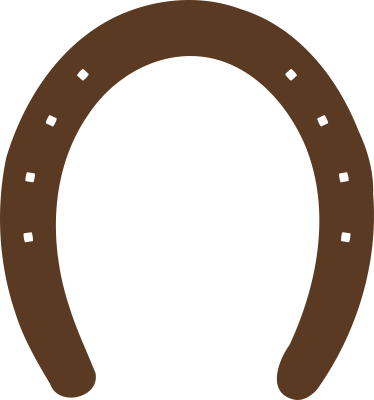 Horseshoe Horse Shoe Clip Art Clipart - Fer À Cheval Vector (748x800)