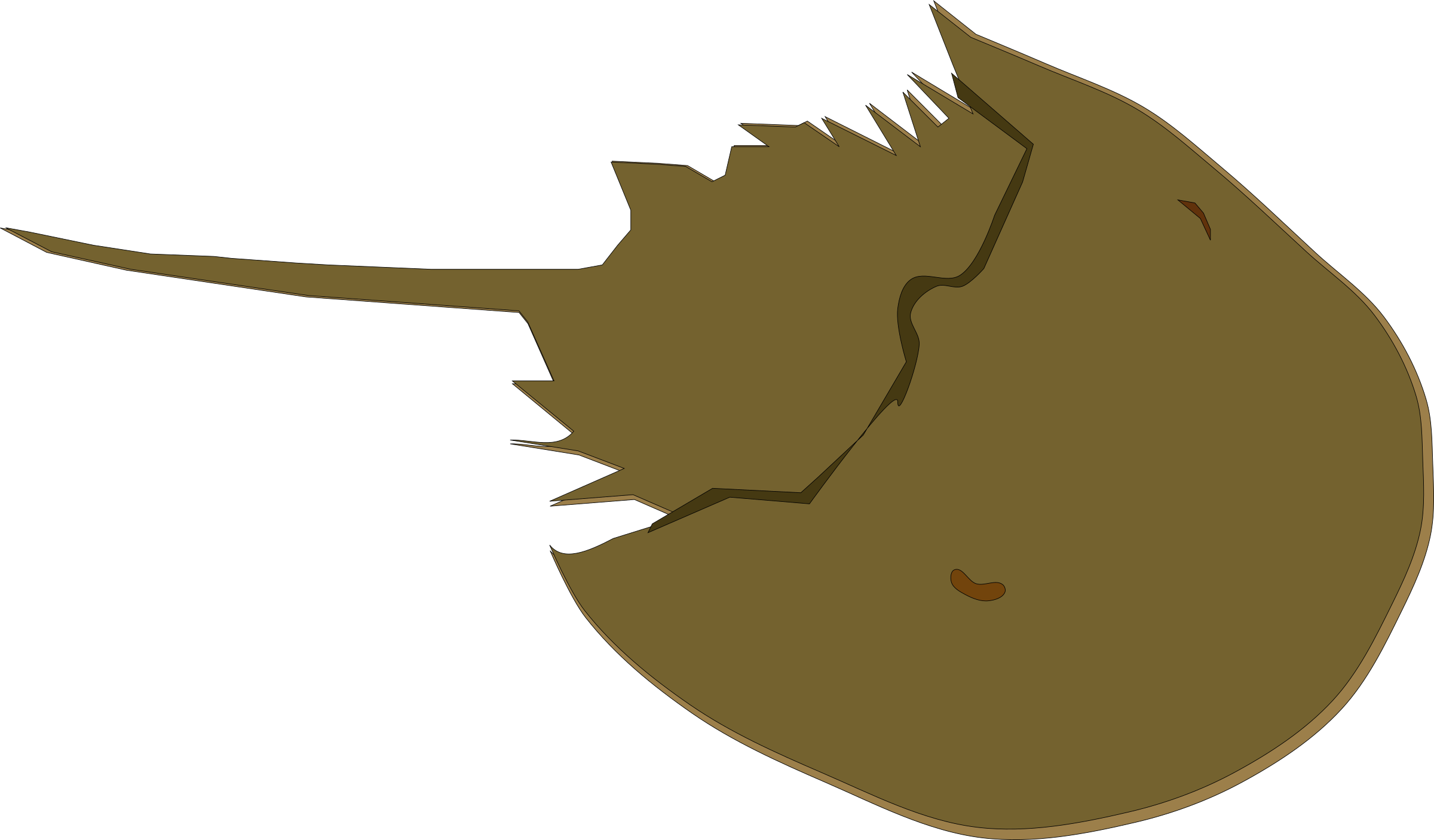 Clipart Horseshoe Crab - Horseshoe Crab Clipart (1280x750)