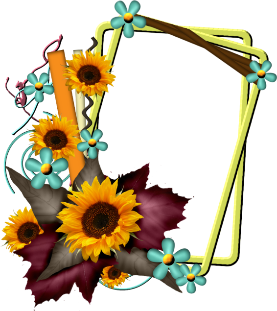 Cadre Tournesols - Sketch (566x635)