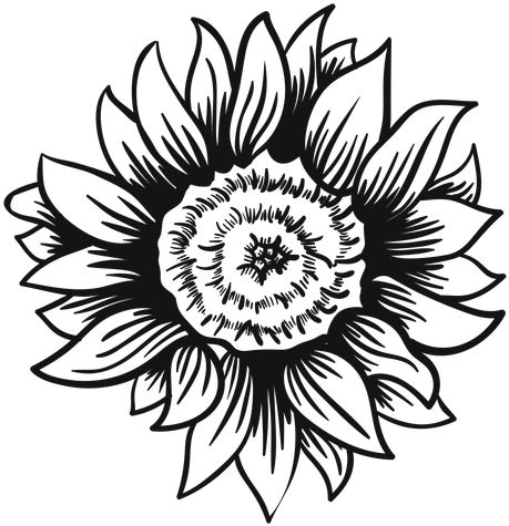 Sunflower Head Stroke Transparent Png - Black And White Sunflower Svg (512x512)