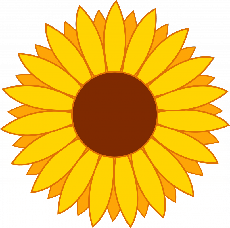 Free Yellow Flower Clipart - Sunflower Clipart (800x792)