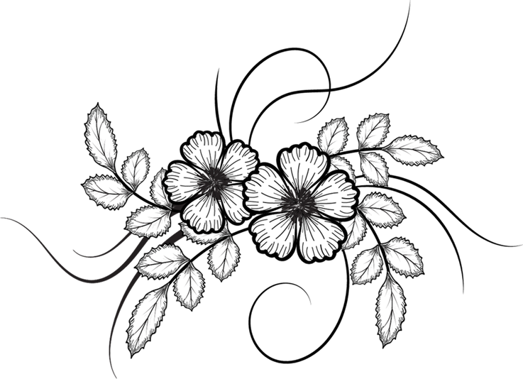 Flower Drawing Vector At Getdrawings - Flower Drawing Png (737x534)