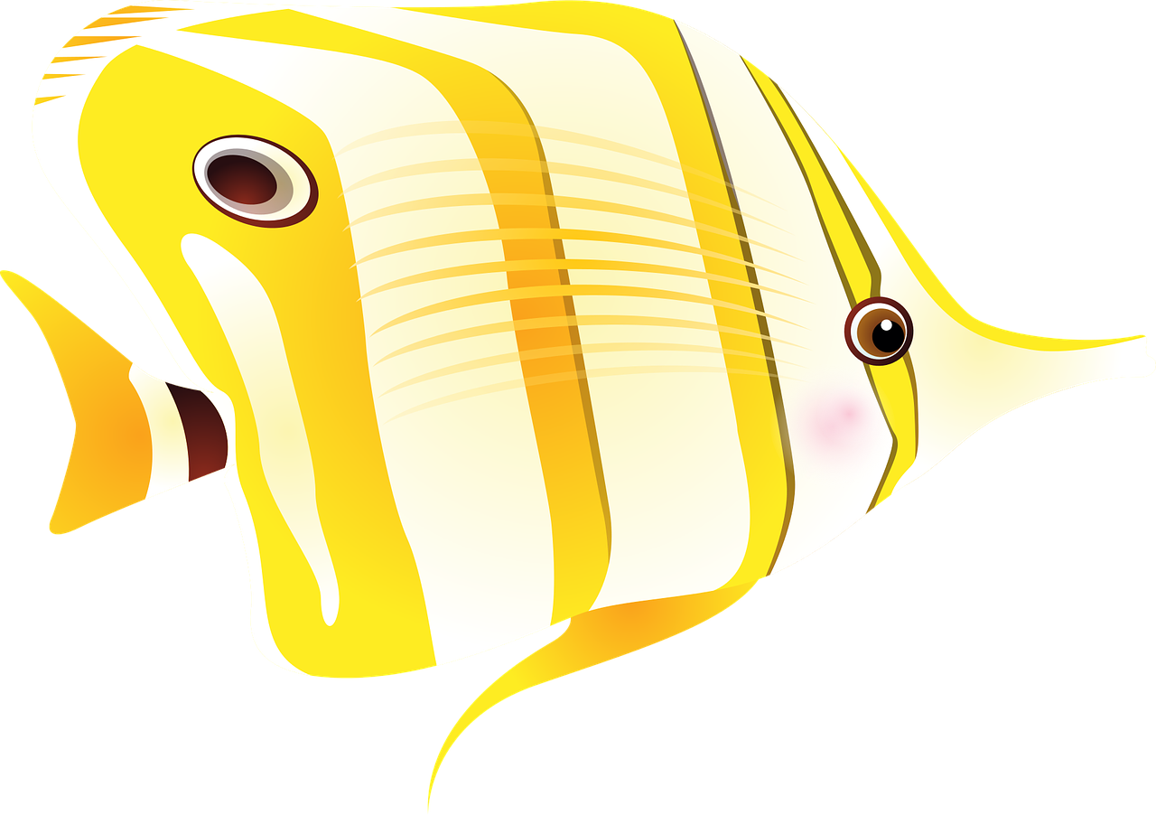 Rainbow Fish Outline 16, - Pixabay Fish (1280x902)