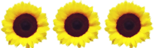 Sunflower Border Painted With Watercolors By Jeanicebartzen27 - Sunflowers Border Transparent (651x203)