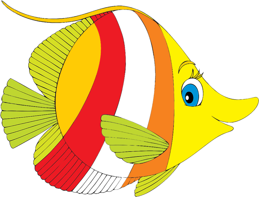 María José Argüeso - Tropical Fish Clip Art (899x691)