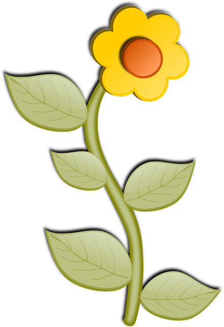 Nature Sunflower, Flower, Bloom, Blossom, Leaves, Nature - Flower Cartoon No Background (439x640)