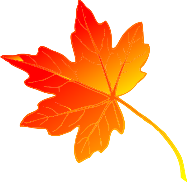 Free Beautiful Maple Leaf Clip Art - Fall Leaves Clip Art (600x585)