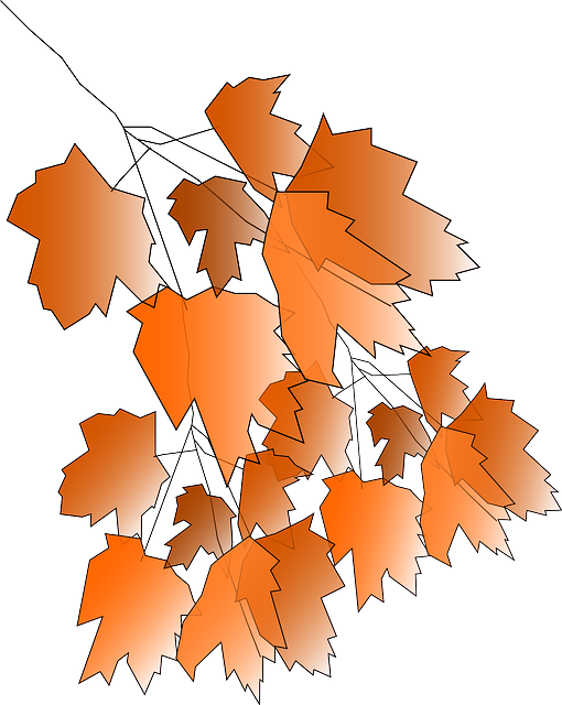 Orange Maple, Foliage, Leaves, Autumn, Fall, Greenery, - Autumn (510x640)
