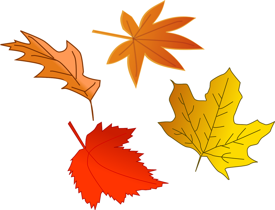 Illustration Of Colorful Autumn Leaves - Leaves Falling Clip Art (640x480)