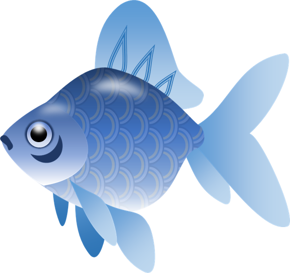 Gold Fish Transparent Png - Small Fish Clipart Transparent (592x559)
