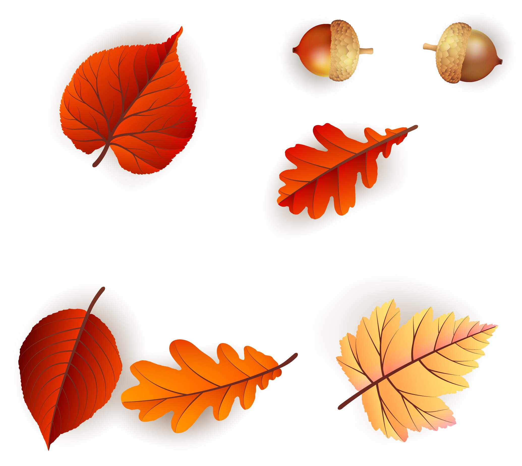 Continental Colorful Fresh Maple Leaf Pattern Vector - Continental Colorful Fresh Maple Leaf Pattern Vector (2070x1851)