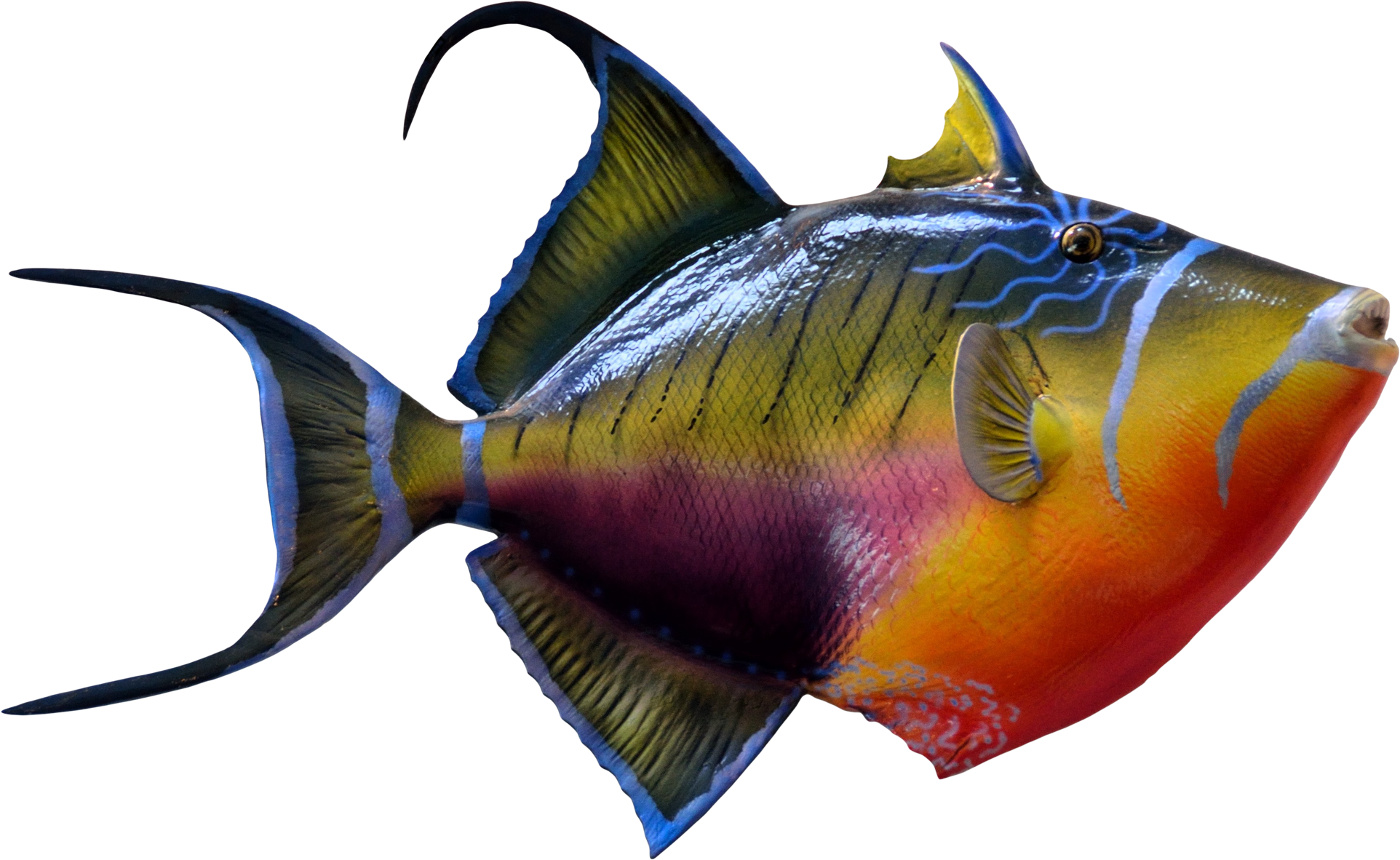 Fish Png (2121x1452)