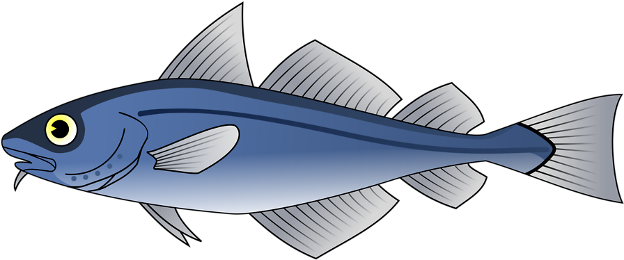 Larger Clipart Small Fish - Custom Blue Fish Shower Curtain (958x451)
