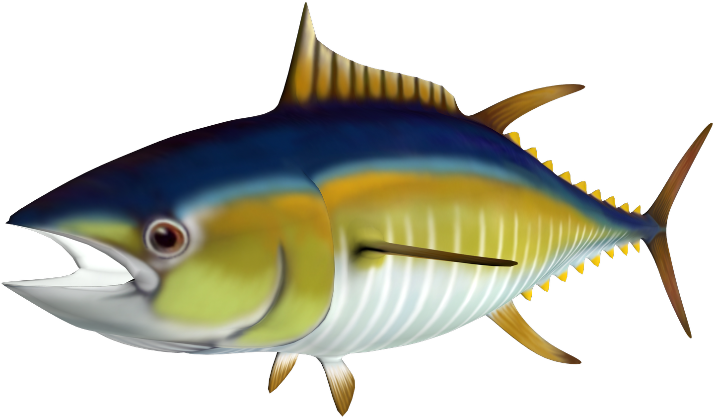 Free High Resolution Graphics And Clip Art - Tuna Clipart Png (1500x1060)