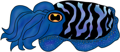 Colorful Tropical Fish Clipart - Clip Art (500x277)