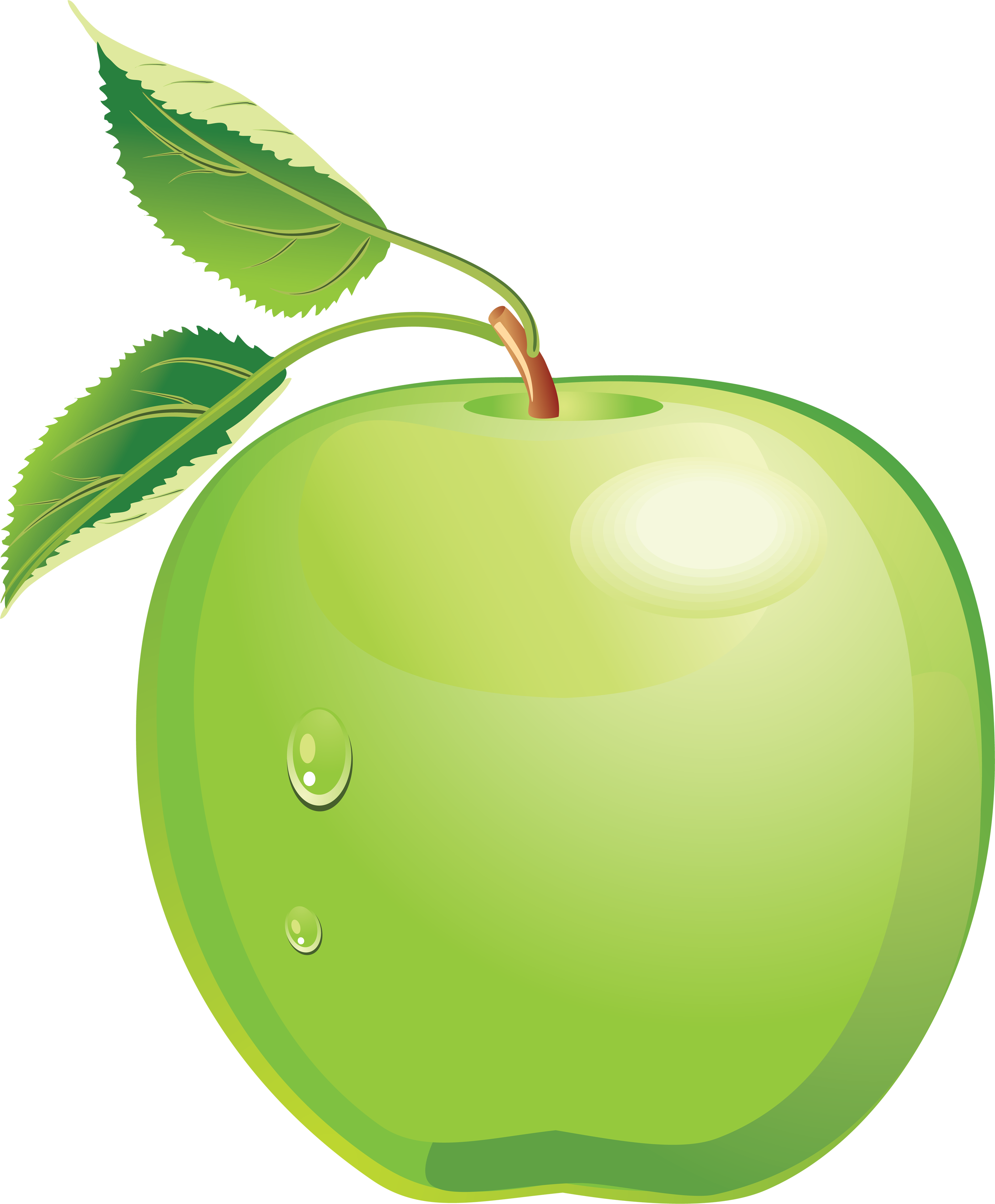 Green Apple Clip Art - Green Apple Clipart Png (2890x3497)
