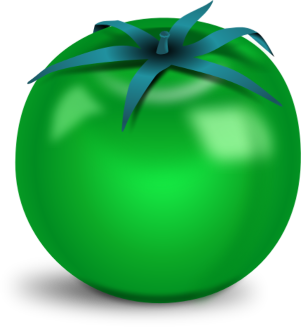 Fried Green Tomatoes Clip Art - Green Tomato Vector (600x652)