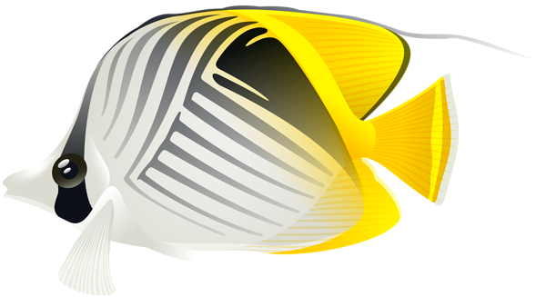 Aquarium Fish Png Clip Art - Aquarium Fish Png (600x327)