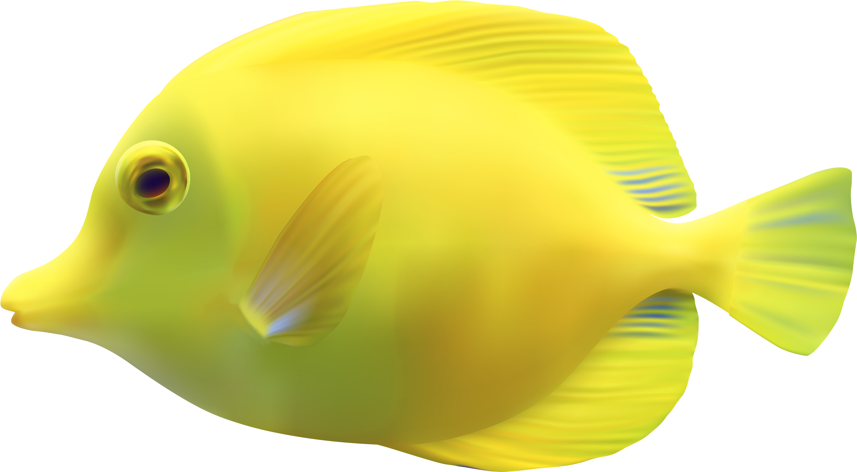 Yellow Zebrasomatang Fish Png Clipart - Yellow Zebrasomatang Fish Png Clipart (3000x1653)