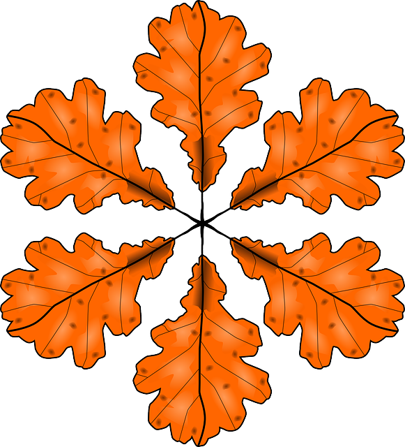 Orange Foliage, Leaves, Autumn, Fall, Greenery, Orange - Autumn (581x640)