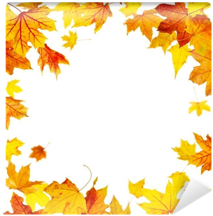 Falling Autumn Maple Leaves Frame Isolated On White - Hojas De Otoño Volando (400x400)
